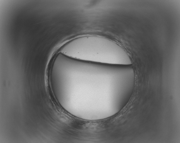 X0000075840294200609150919