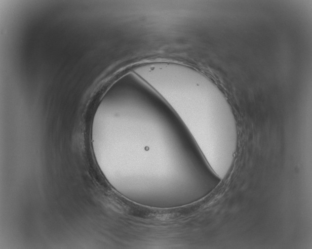 X0000075840295200609150919