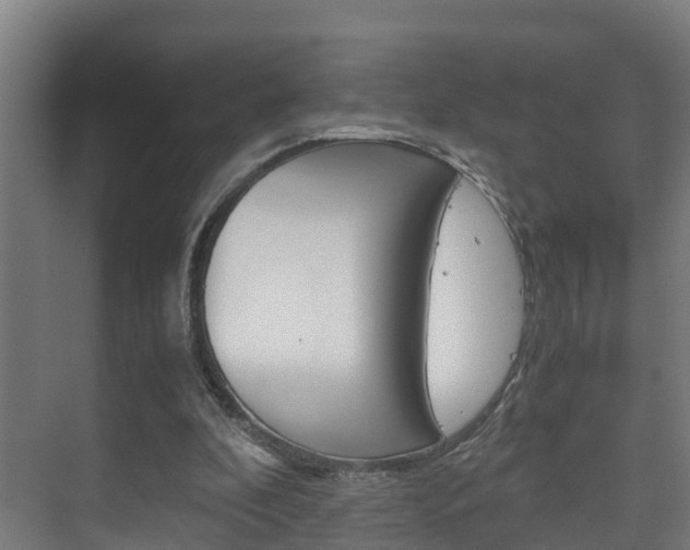 X0000075840296200609150919