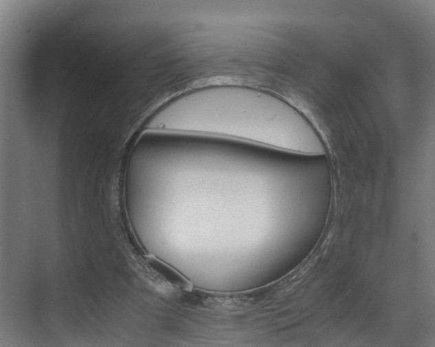 X0000075840297200609150919