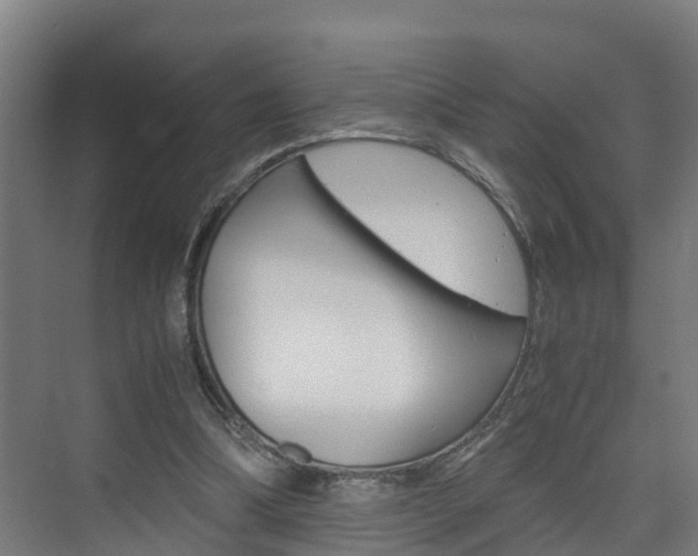 X0000075840298200609150919