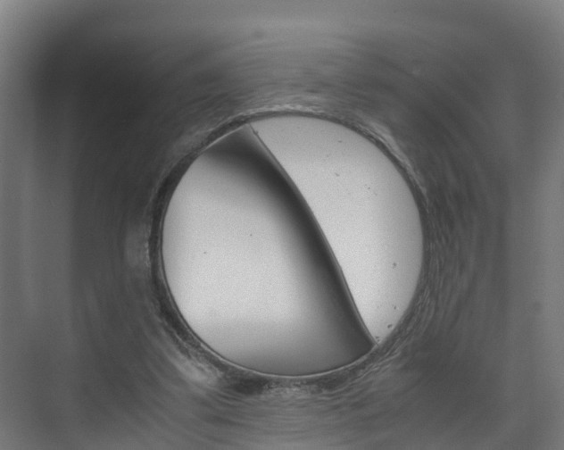 X0000075840299200609150919