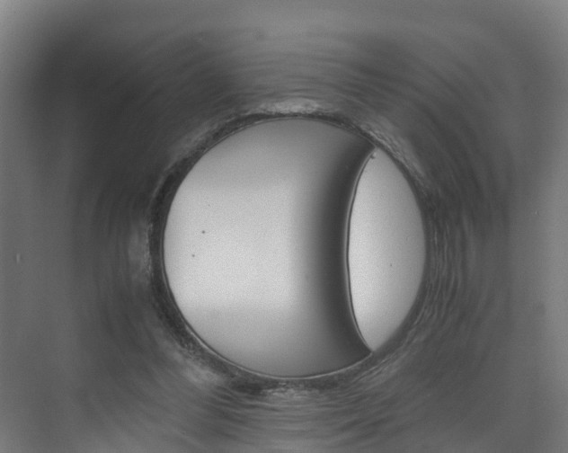 X0000075840300200609150919