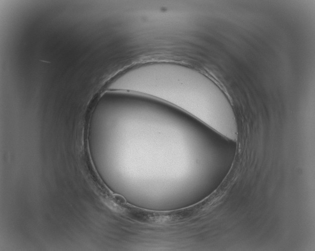 X0000075840301200609150919