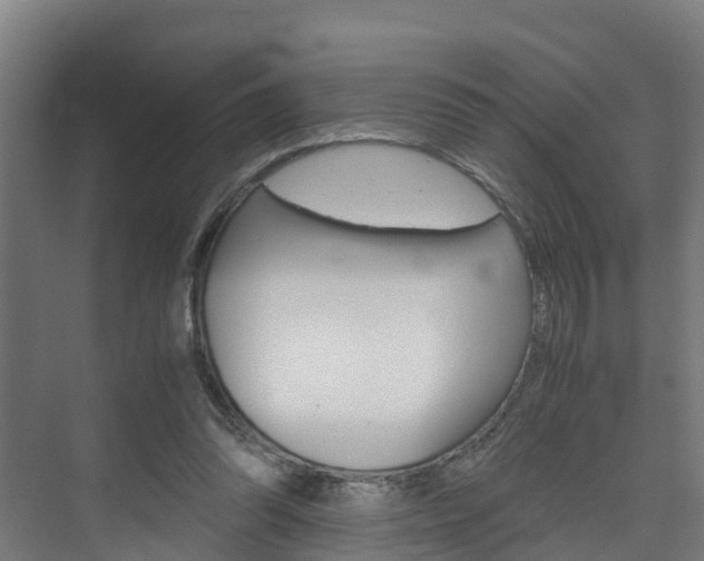 X0000075840302200609150919