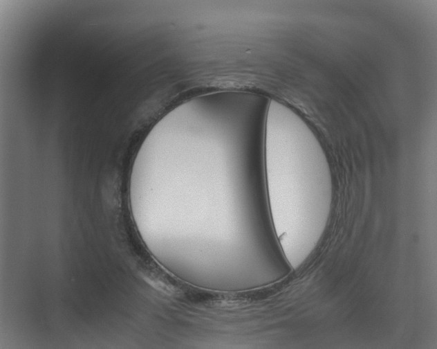 X0000075840303200609150919