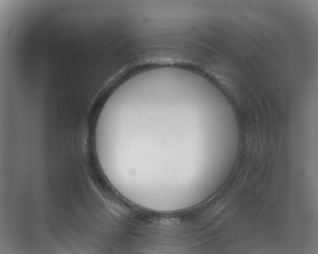 X0000075840304200609150919