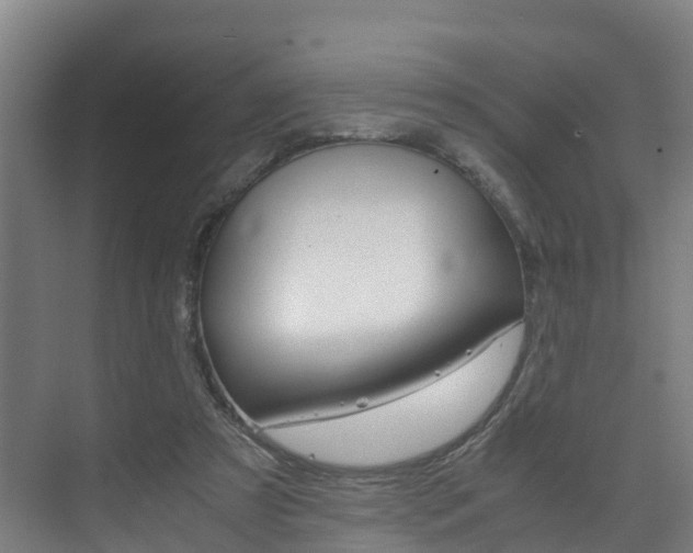 X0000075840305200609150919