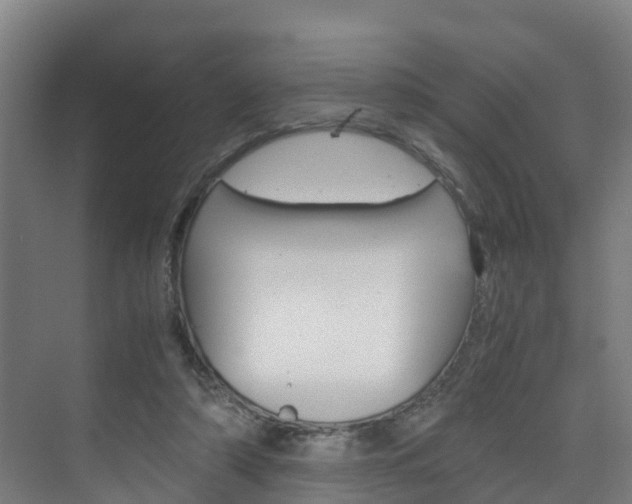 X0000075840306200609150919