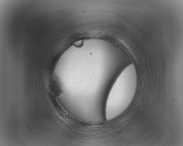 X0000075840307200609150919