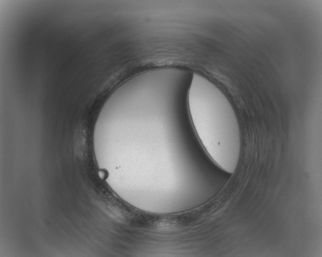 X0000075840308200609150919