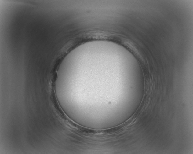 X0000075840309200609150918