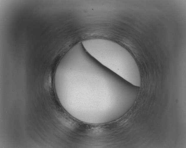 X0000075840310200609150918