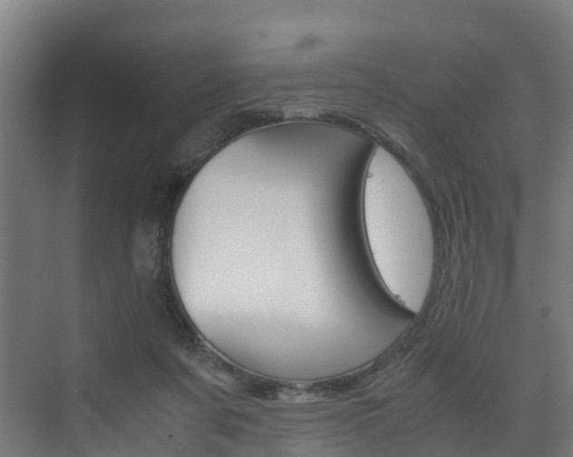 X0000075840311200609150918