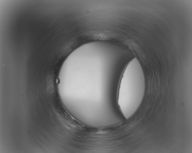 X0000075840312200609150918