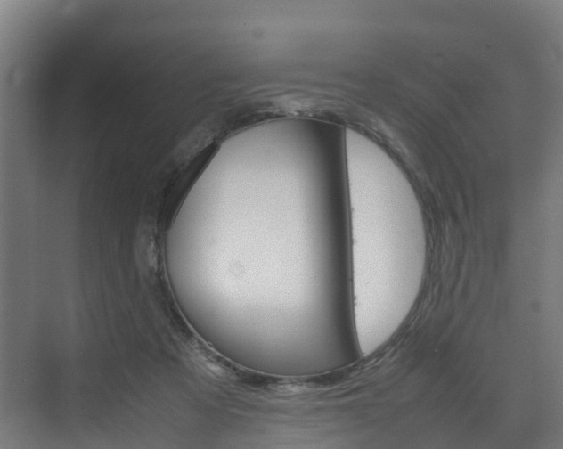 X0000075840313200609150918