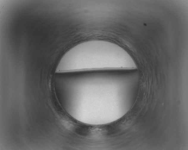 X0000075840315200609150918