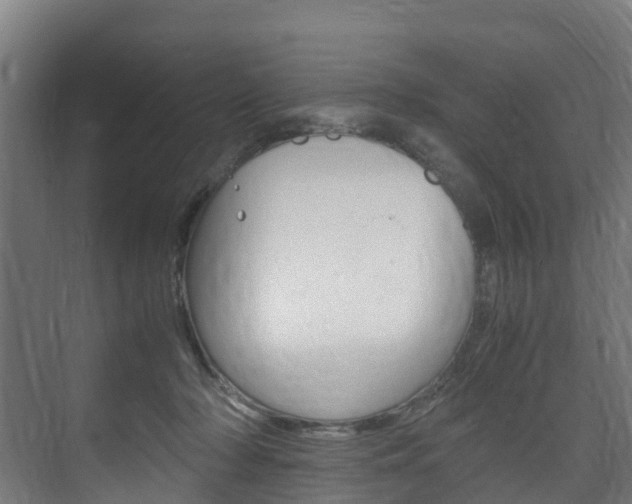 X0000075840318200609150918