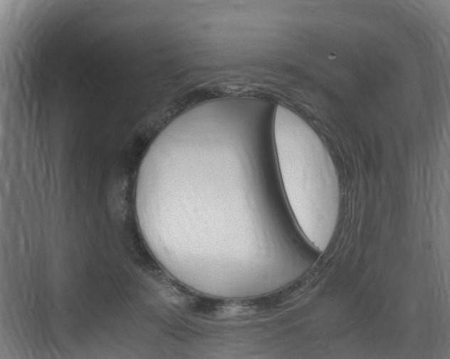 X0000075840319200609150918