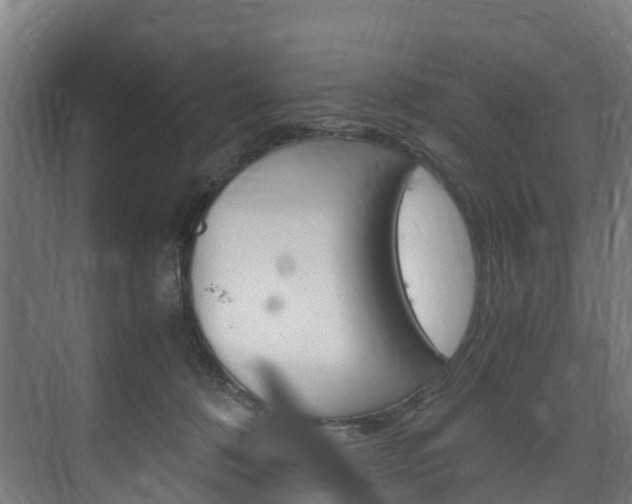 X0000075840320200609150918