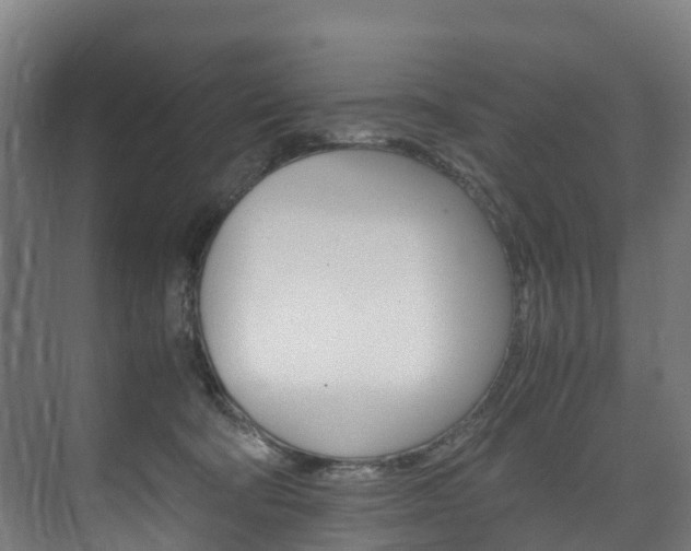 X0000075840322200609150918