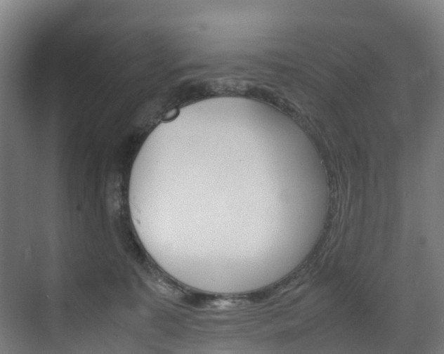 X0000075840323200609150918