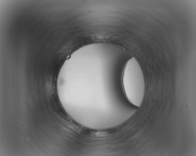 X0000075840324200609150918