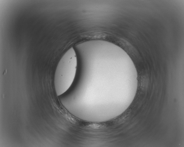 X0000075840326200609150918