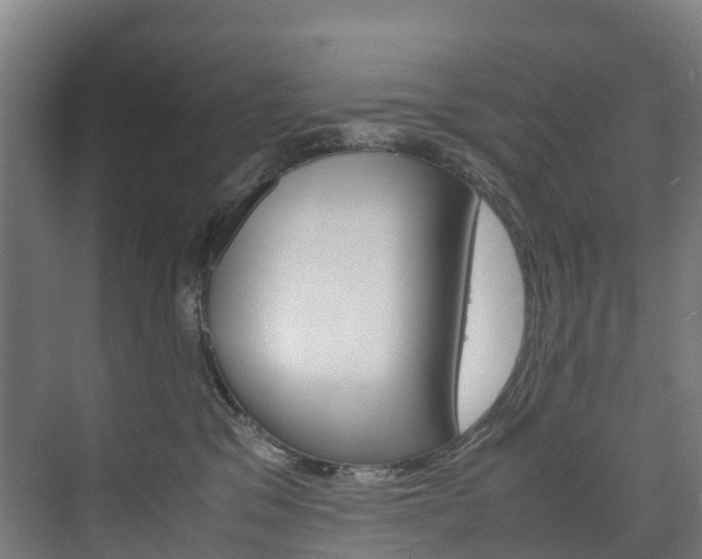 X0000075840329200609150918