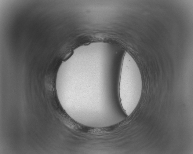 X0000075840331200609150918