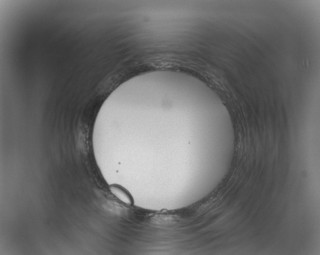 X0000075840332200609150918