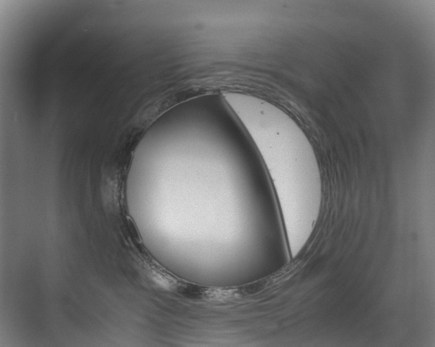 X0000075840333200609150918