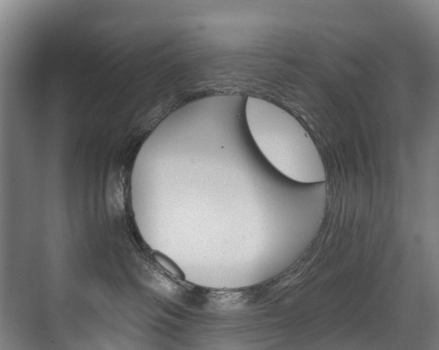 X0000075840334200609150918