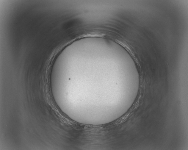 X0000075840337200609150917