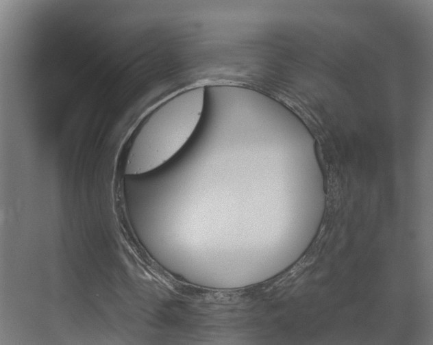 X0000075840338200609150917