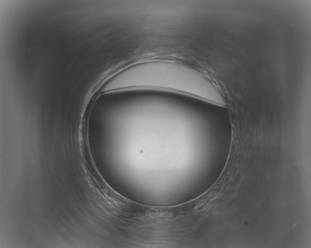 X0000075840340200609150917