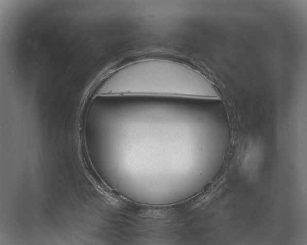 X0000075840341200609150917