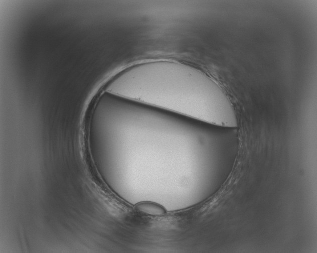 X0000075840342200609150917