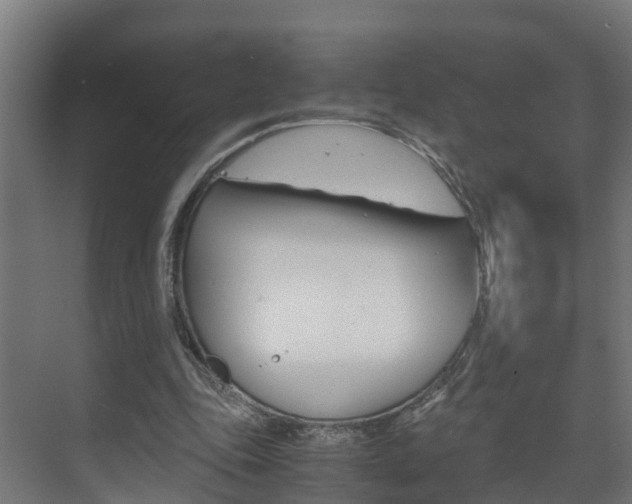 X0000075840343200609150917