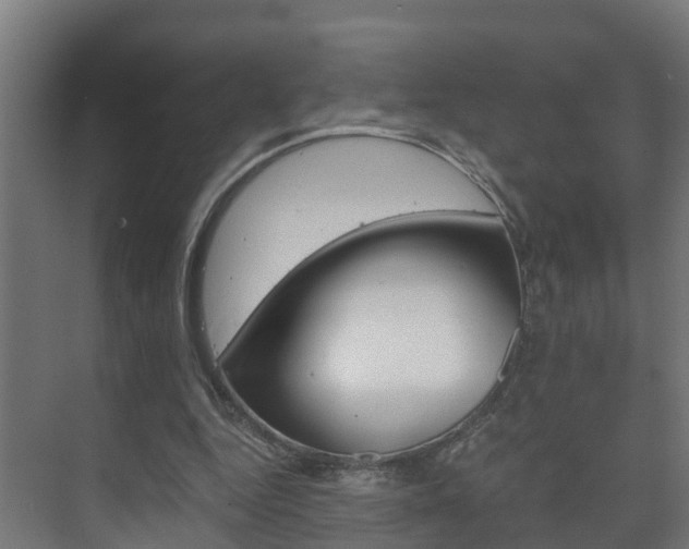 X0000075840344200609150917