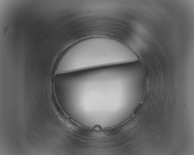 X0000075840349200609150917