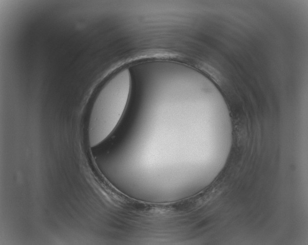 X0000075840350200609150917