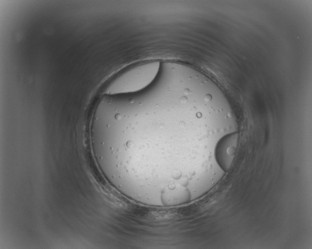 X0000075840351200609150917