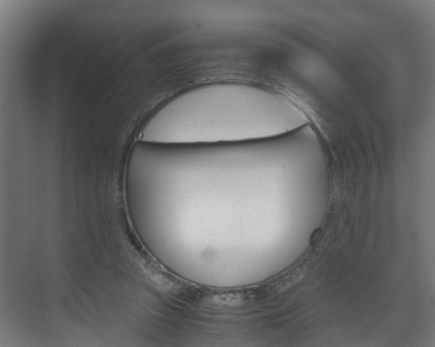 X0000075840353200609150918