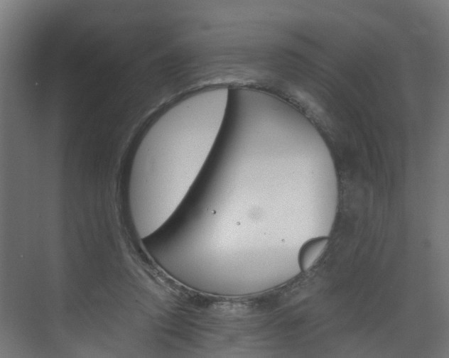 X0000075840354200609150918