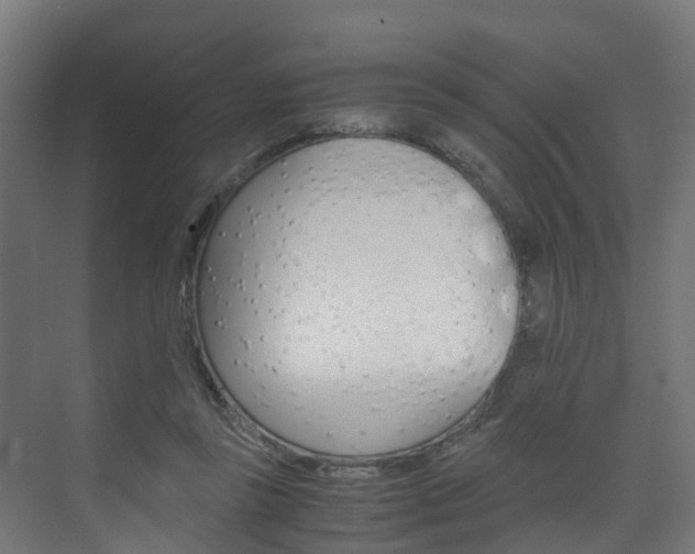 X0000075840355200609150918