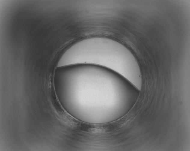 X0000075840356200609150918