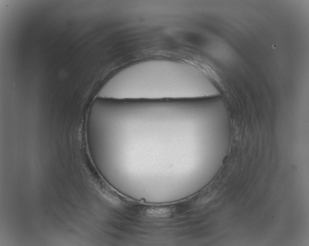 X0000075840357200609150918