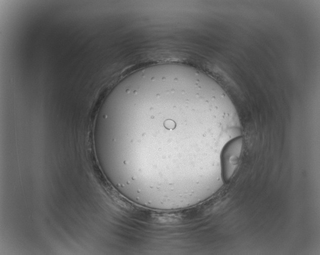 X0000075840359200609150918