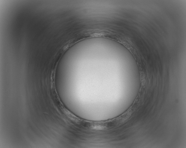 X0000075840360200609150918